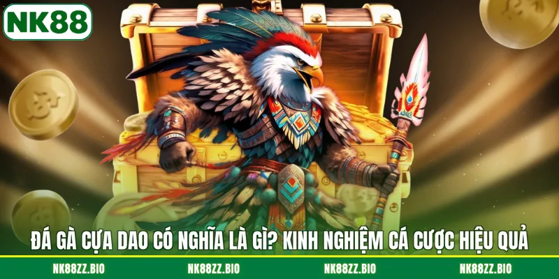 da-ga-cua-dao-co-nghia-la-gi-kinh-nghiem-ca-cuoc-hieu-qua