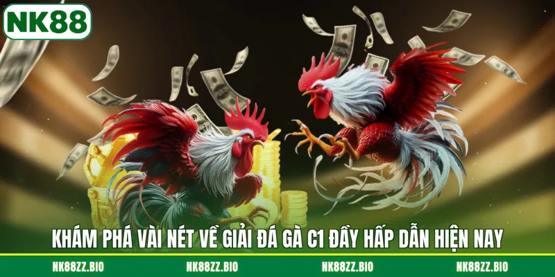 kham-pha-vai-net-ve-giai-da-ga-c1-day-hap-dan-hien-nay