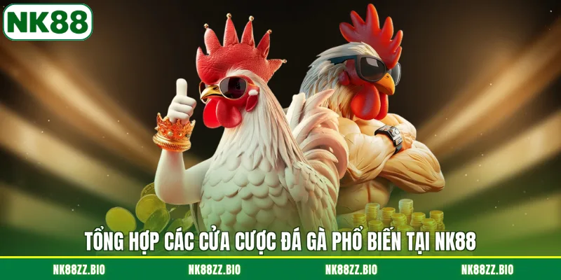 tong-hop-cac-cua-cuoc-da-ga-pho-bien-tai-nk88
