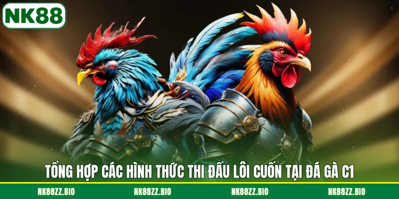 tong-hop-cac-hinh-thuc-thi-dau-loi-cuon-tai-da-ga-c1